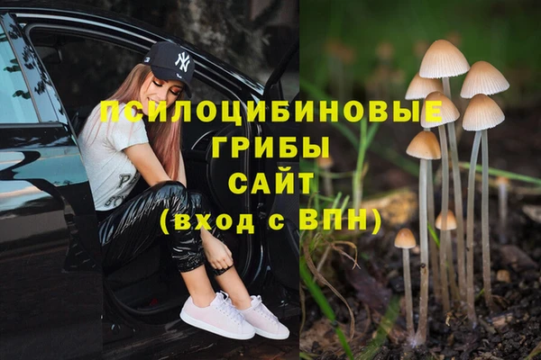 первитин Абдулино