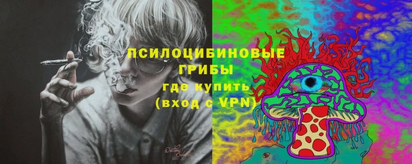 стафф Абаза