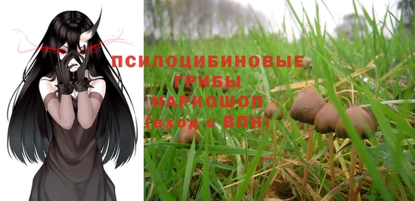 стафф Абаза