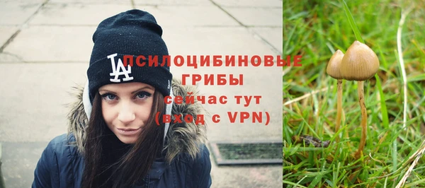 стафф Абинск