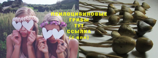 стафф Абинск