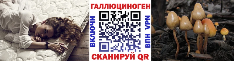 сайты даркнета наркотические препараты  Барнаул  Галлюциногенные грибы GOLDEN TEACHER  продажа наркотиков 