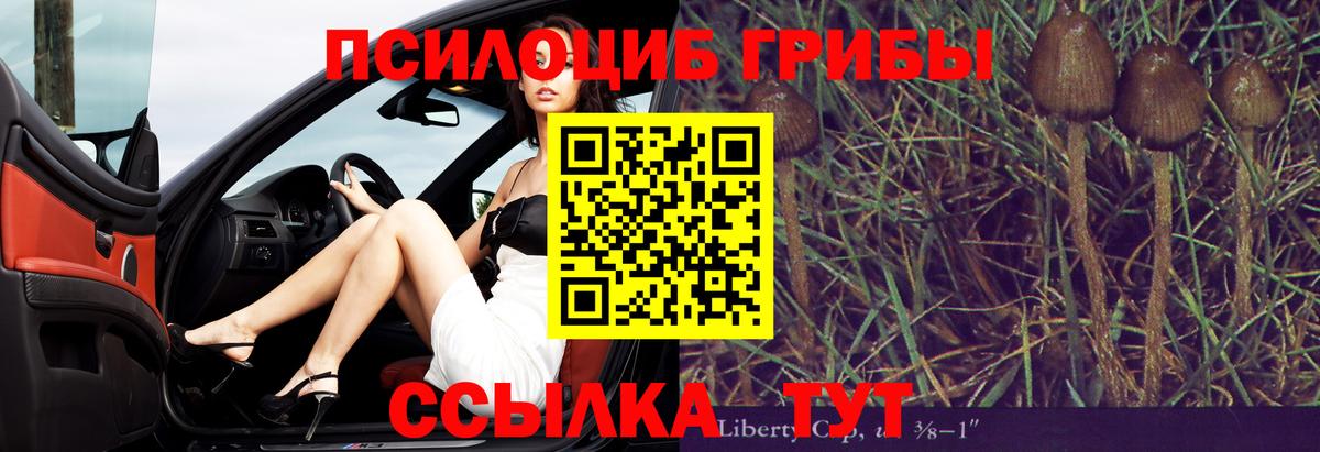 Галлюциногенные грибы Psilocybine cubensis Барнаул