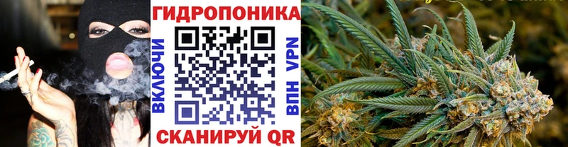 Марихуана OG Kush  закладки  Барнаул 